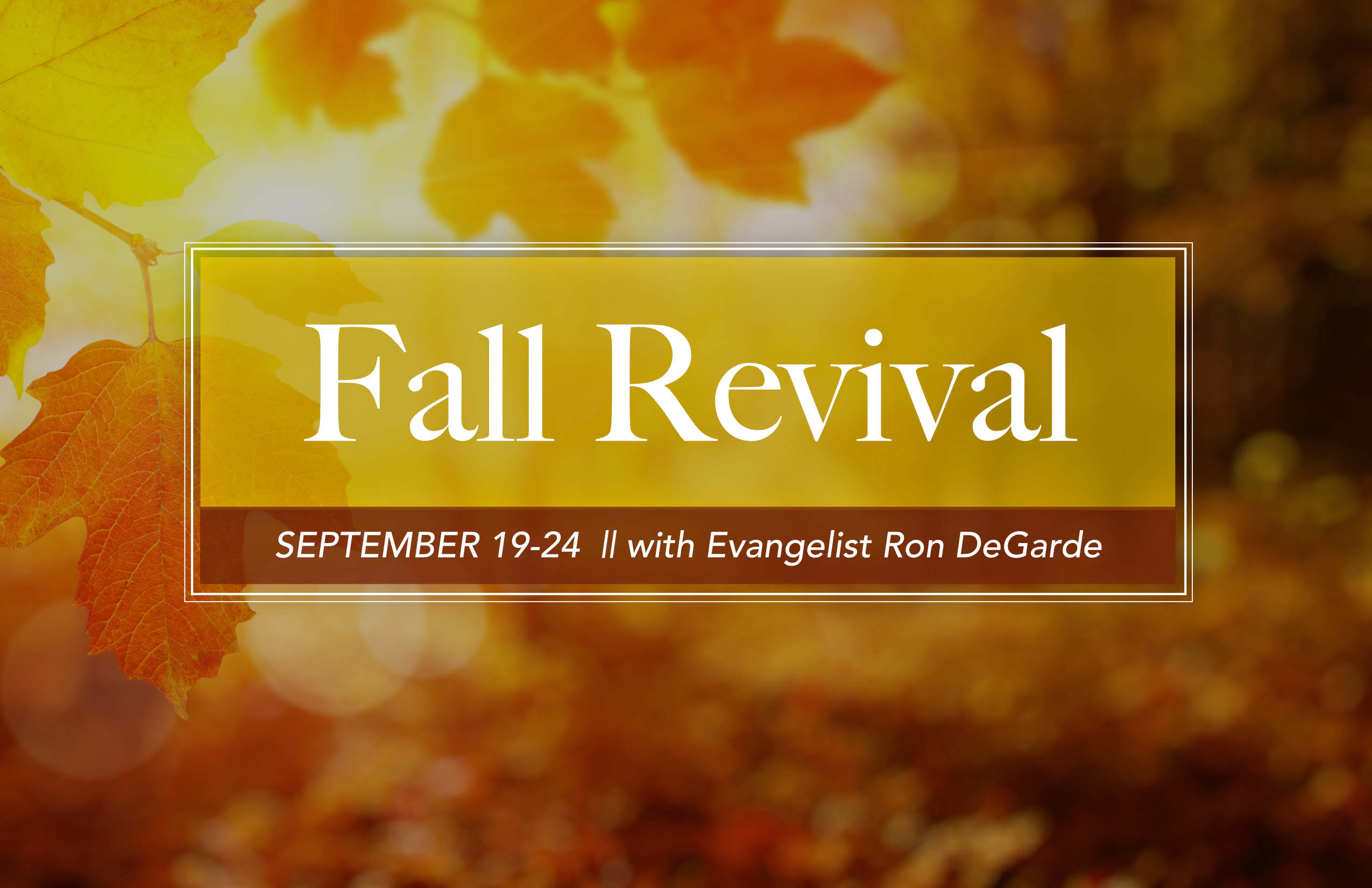 1.5 Fall Revival