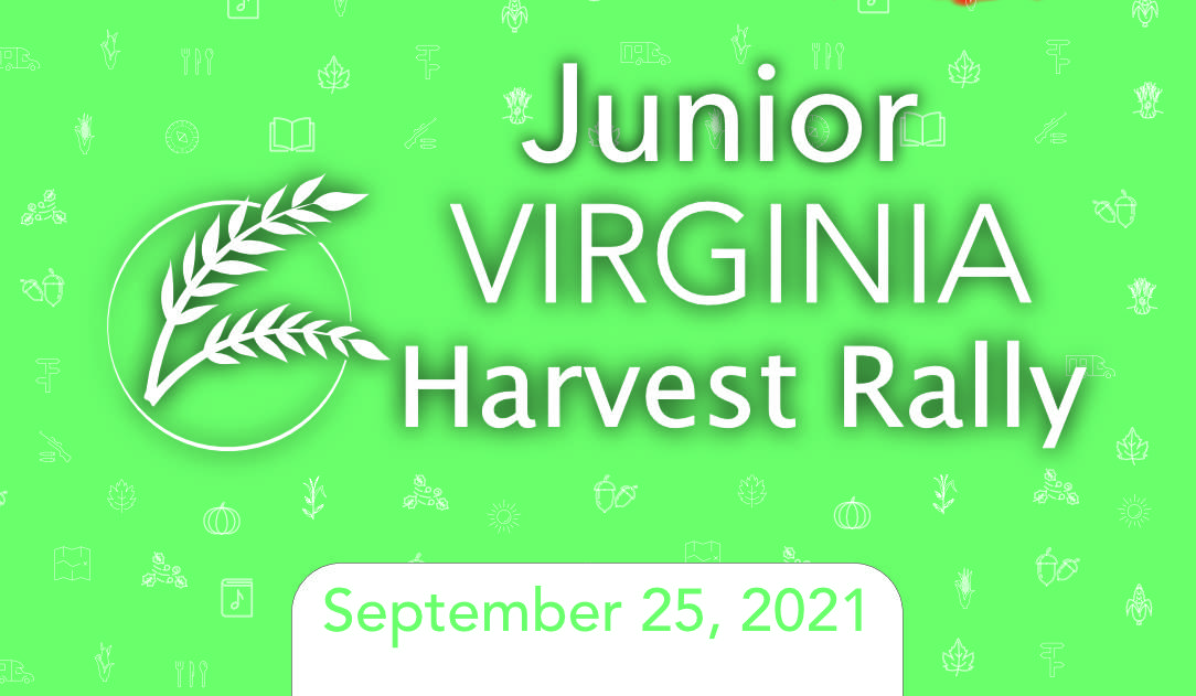 1.6 a Junior Harvest Rally